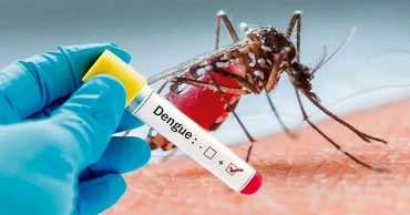 Dengue situation worsens in Pirojpur