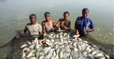 Majority of fisheries workers still denied laborer status