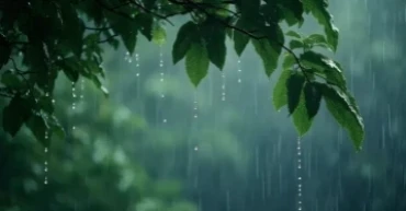 Rains, thundershowers likely in 3 divisions: BMD