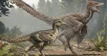 New Jurassic bird fossil offers fresh clues to how birds evolved shorter tails
