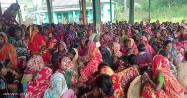 Tea workers begin indefinite strike at 4 Habiganj gardens over unpaid wages