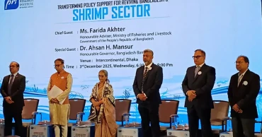 Frozen food sector demands Tk 2,500 crore soft loan fund to reverse export decline