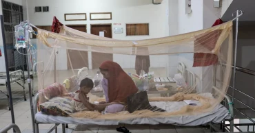 Dengue spike: 5 dead; 387 hospitalised in 24hrs