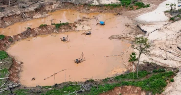 Human rights body calls for oversight of technology used in Latin American environmental crimes