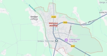 4 children of a family drown in Meherpur water body