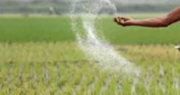 Govt approves procurement of 55,000 mt of fertiliser
