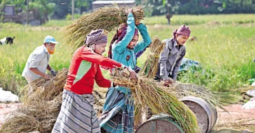 Govt puts rural Bangladesh at heart of development agenda
