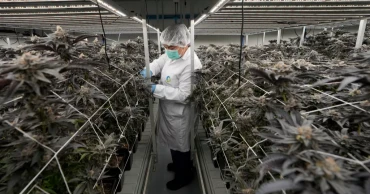 Thailand banning cannabis sales without prescription 3yrs after decriminalisation