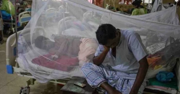 2 more die of dengue, 458 hospitalised