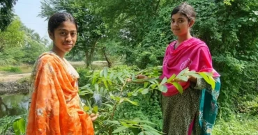 Every tree needs a keeper: lessons from Mohishkhola