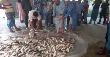 1,200 kg of jatka seized from two passenger launches in Chandpur