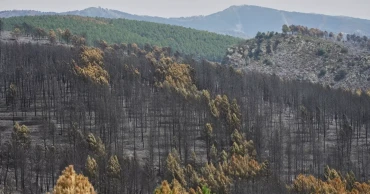 Spain battles one of its largest wildfires as heat wave grips Mediterranean