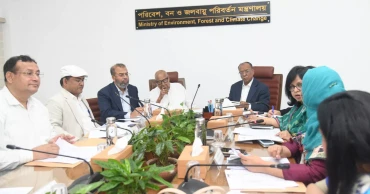 43% of 2026 tree plantation target achieved: Adviser Nazrul