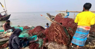 Fishermen set to resume hilsa fishing as ban ends this midnight