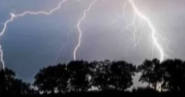 35 farmers among 74 killed by lightning in 38 days: SSTF