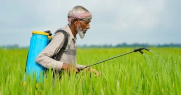 Revisiting tax barriers can revive growth of stunted pesticide industry
