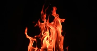 Fire on Parliament premises under control; probe committee ordered