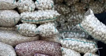 58 metric tonnes of garlic imported through Mongla Port for first time