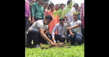 Over 25pc DSCC area to be brought under afforestation: Taposh