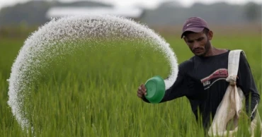 CCGP approves procurement of 70,000 tonnes of urea fertilizer