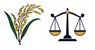 BNP wins 49.97% vote share, Jamaat 31.76%: EC