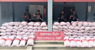 Goods worth over Tk 1 crore seized along Sylhet, Sunamganj borders: BGB