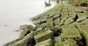 Chandpur’s Haimchar riverbanks protection dam faces erosion threat