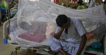 Dengue: 5 more die, 1034 hospitalised