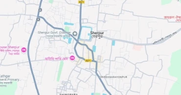 Case filed over killing elephant in Sherpur