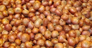 Onion imports withheld to protect farmers: Agriculture Adviser