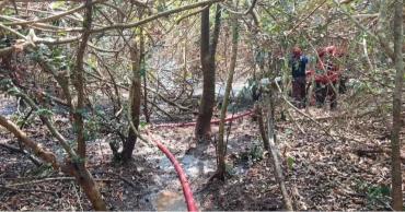 Sundarbans fire now under control: Ministry of Environment