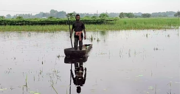 Flood: Narail fisheries, agriculture sectors suffer Tk 100 cr losses