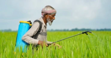 Revisiting tax barriers can revive growth of stunted pesticide industry