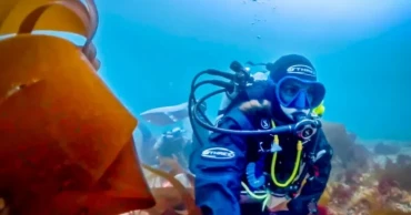 Scientist solves 40-year mystery after discovering new 'pink zebra' seaweed species