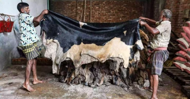 Rawhide loans fall short; only Tk 125cr disbursed of Tk 232cr target