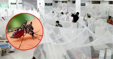 Dengue 2026: Dhaka South the worst-hit municipality with 39 deaths