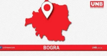 Four die in truck-autorickshaw collision in Bogura