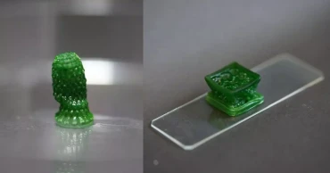 New living material developed to absorb CO2