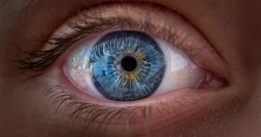 Vitamin A discovery challenges decades-old understanding of how human vision develops