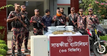 New synthetic drug 'Kush' spreading; 12kg seized in Satkhira  
