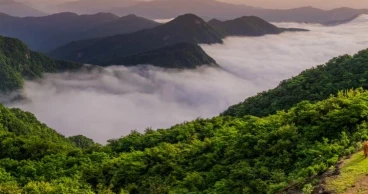 China leads global push for ecological civilization: Experts