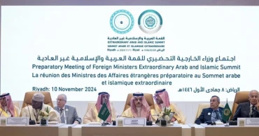 OIC calls for Israel to stop cycle of war from expanding