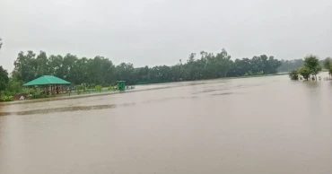 Severe flooding in Feni: 74 villages submerged, thousands affected