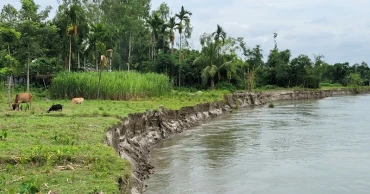 Dharla erosion steals homes and hopes in Lalmonirhat
