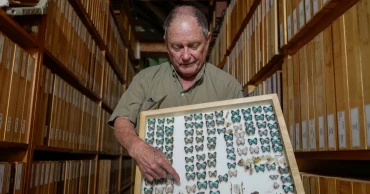 A butterfly collector in Africa with more than 4.2m seeks to share them for future