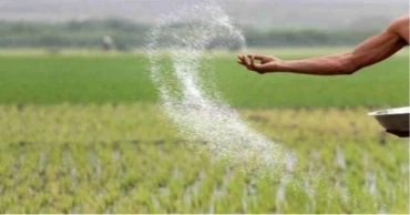  CCGP approves procurement of 365,000 tonnes of fertiliser at Tk 2,562cr