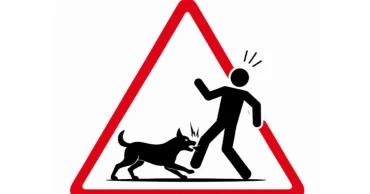 Five die in a week after being bitten by rabid dog in Gaibandha