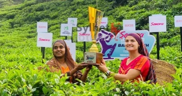 Bangladesh-Ireland series trophy unveiled at Sylhet Tea Garden