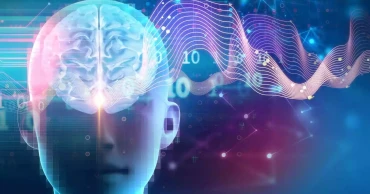 Deep sleep found key to muscle growth, fat burning and brain function