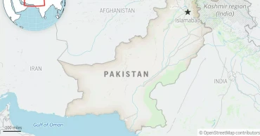 Pakistani forces kill 24 militants in northwest raids amid rising violence